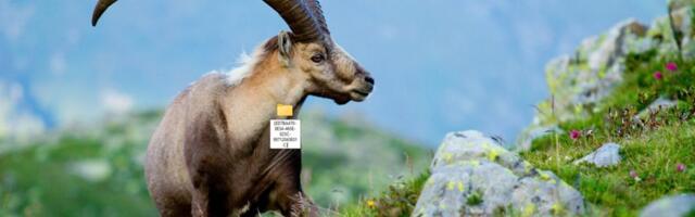 Windows ima skriveni "God Mode" folder koji skoro niko ne koristi, a izuzetno je koristan