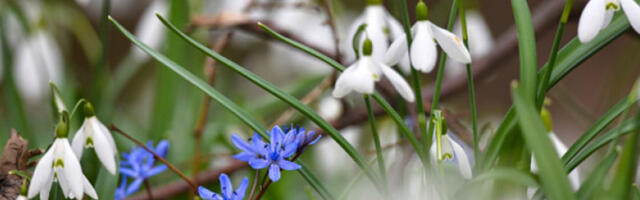 Сутра сунчано, крајем дана киша