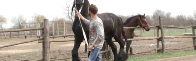 Nije Arizona, već Srbija: Život u galopu na ranču u Velikom Polju