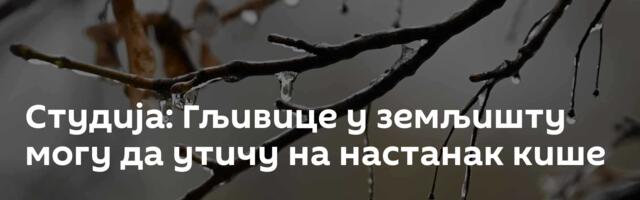 Студија: Гљивице у земљишту могу да утичу на настанак кише
