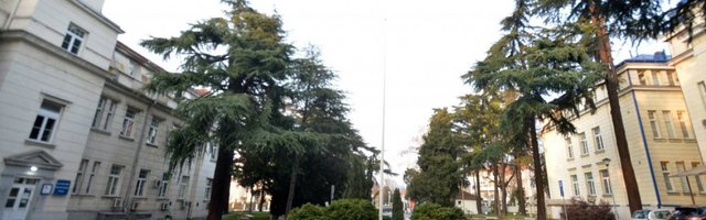 U Beogradu izlečen dečak (3) koji je imao teški oblik koronavirusa