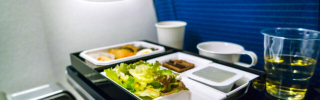 Ovu hranu nikada nemojte da unesete u avion: Kabinsko osoblje otkrilo u kojim slučajevima su rigorozni