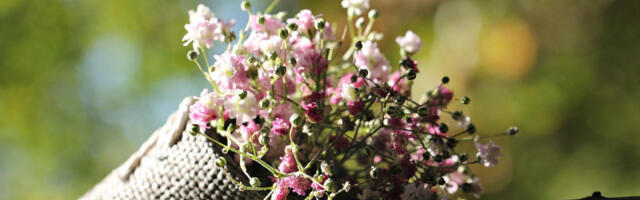 Dnevni horoskop za 19. april: Ribe intuicija vodi ka pravim odlukama, buran ljubavni život Škorpija