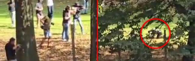 Nemačka policija PUCALA u učenika sa Kosova: UZNEMIRUJUĆE SCENE posle napada na profesorku (VIDEO)