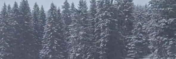 U ovom delu Srbije povremeno veje već 24 sata: Sneg dostigao 10 cm, temperatura ispod nule