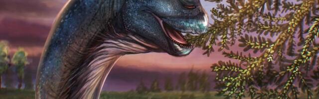 Kako je izgledao Nagatitan? Naučnici na Tajlandu otkrili fosil nove vrste dinosaurusa