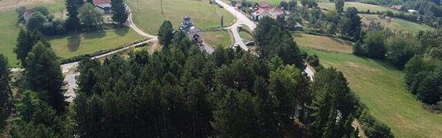 Dva mušarkca preminula nakon ujeda stršljena
