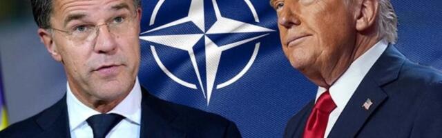 "TATICA, TI SI MOJ TATICA" Tramp objasnio bizarne reči šefa NATO o njemu  (VIDEO)