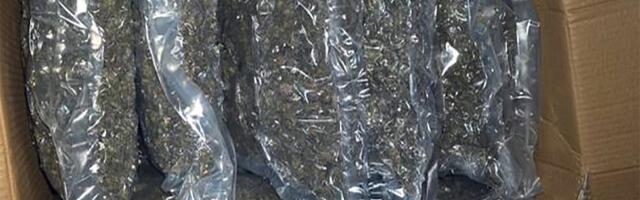 FOTO: U garaži u Beogradu zaplenjeno 100 kilograma marihuane