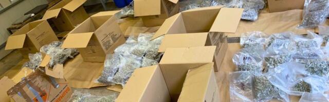 Zaplenjeno oko 90 kilograma marihuane na prelazu Šid