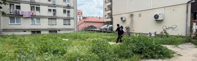 Krpelji jedva čekaju da izađeš iz stana - Bubanj opkoljen travom (FOTO)