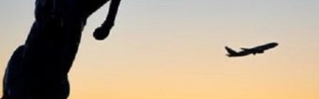 Prava priča koja stoji iza jezivog kipa "Blucifera" na aerodromu u Denveru ledi krv u žilama!