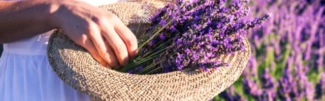 Astrološka prognoza za avgust 2021. godine za sve horoskopske znakove