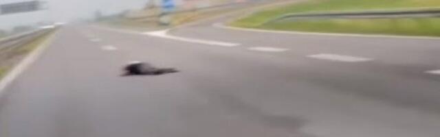 MUŠKARAC LEŽI NA AUTO- PUTU IPSOD NADVOŽNJAKA U BATAJNICI! Vozači stali, obustavljen saobraćaj