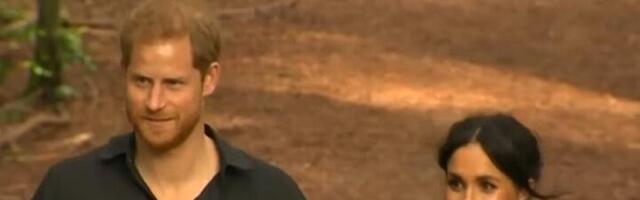 Dva intervjua Harija pred knjigu: Drma se dvor