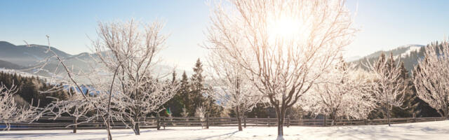 Poznato kada se očekuje dolazak prave zime u Srbiju