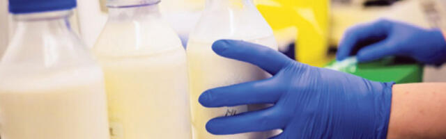 Министарство: Свако нарушавање тржишта млека биће предмет институционалног поступања