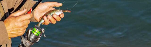 Počela prodaja ribolovnih dozvola za 2026. godinu – ovo su cene