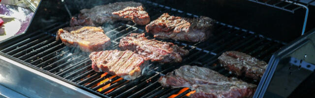 Savet iskusnih roštiljdžija za Prvi maj: Evo kako da odaberete najbolju vrstu mesa za roštilj