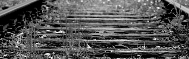 Pesma Đurđevdan krije tragičnu priču: Ovako je nastala