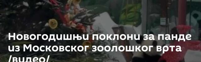 Новогодишњи поклони за панде из Московског зоолошког врта /видео/