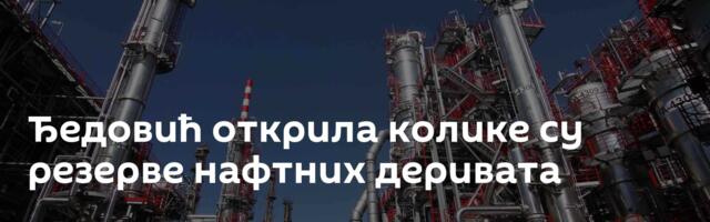 Ђедовић открила колике су резерве нафтних деривата
