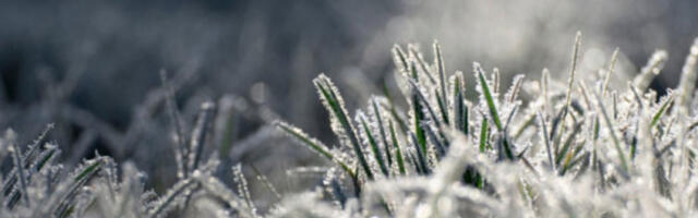 Данас облачно и осетно хладније, местимично са кишом, суснежицом и снегом