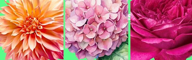 Test ličnosti: Cvet koji vas privuče otkriva šta drugi tajno najviše vole kod vas