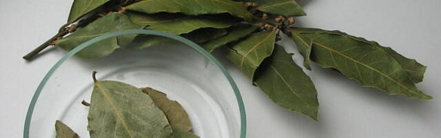 Lovor u šećeru zvuči čudno dok ne shvatite zašto to Ruskinje rade: Kad vidite efekat, probaćete odmah