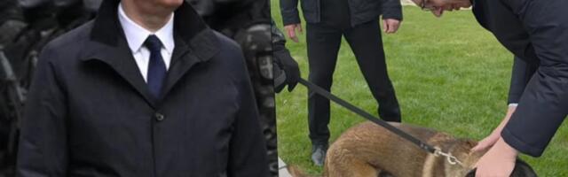 I MILUTIN JE KOBRA! Predsednik Vučić o još jednom pripadniku elitne jedinice: Neumoljiv, opasan i beskrajno odan, njemu eksploziv ne može da promakne (VIDEO)