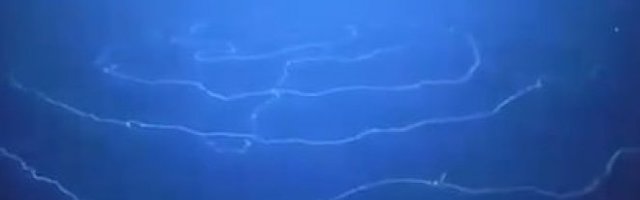 ŠTA JE OVO, ZABOGA? Naučnici u OKEANU UOČILI NEOBIČNO "STVORENJE" nalik na dugački kanap! (VIDEO)