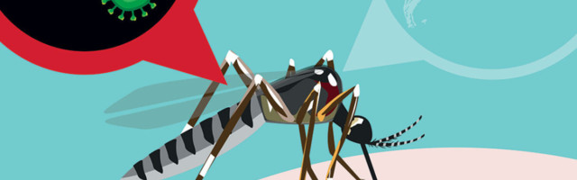 Naučnici otkrili šta je to komarcima slatko u ljudskoj krvi, pa spremaju revolucionarni lek protiv napasti