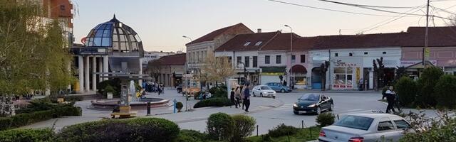 Povišena koncetracija polena ambrozije u Vranju