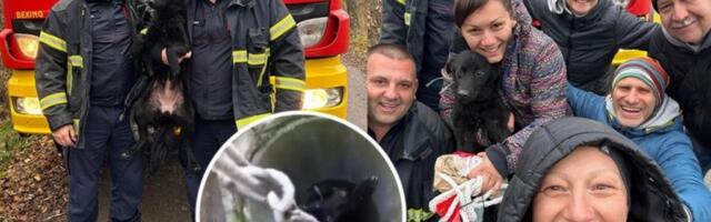 "KOLIKO VREDI JEDAN ŽIVOT?" Pas satima zavijao iz 30 metara dubine, a heroji se spustili u mrak - Beograđanka opisala akciju: LAKO JE PRIČATI O DOBROTI, DOK SEDIŠ U TOPLOM! (FOTO, VIDEO)