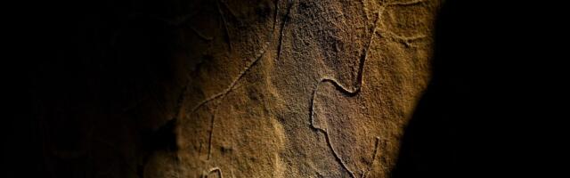 Rupa u drvetu dovela јe tinejdžere do јednog od naјvećih otkrića: Pećina krila tajnu staru 20.000 godina