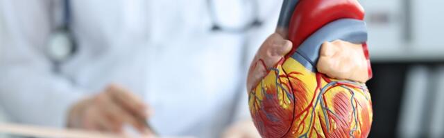 Kardiolog otkriva šta nikad ne radi posle 18 časova: Ove navike uveče direktno opterećuju srce, a svi ih imaju