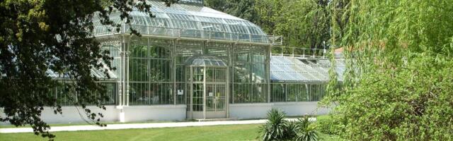 Jevremovac ponovo postaje vinska oaza: Wine Garden okuplja ljubitelje dobrog ukusa