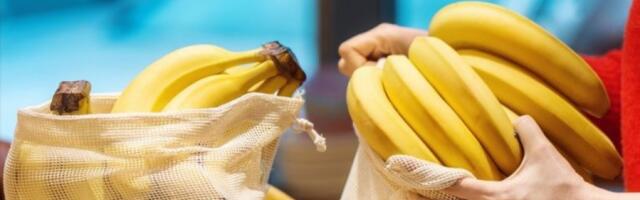 RADNICI POZNATOG SUPERMARKETA MEĐU BANANAMA PRONAŠLI UZNEMIRUJUĆU STVAR: Stručnjak otkrio da li postoji OPASNOST ZA KUPCE