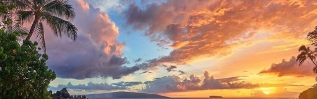 Raka ambicija gura napred, Vaga puni džepove, a vi