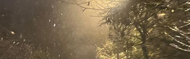 Tokom večeri i noći oblačno, uz kišu i sneg: Evo gde će sutra veći deo dana biti magle