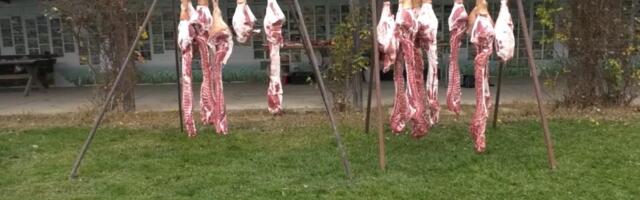 ONI RADE BEZ INDUSTRIJE I PREČICA! U Zasavici možete da nađete sveže meso: Evo šta ga izdvaja (VIDEO)