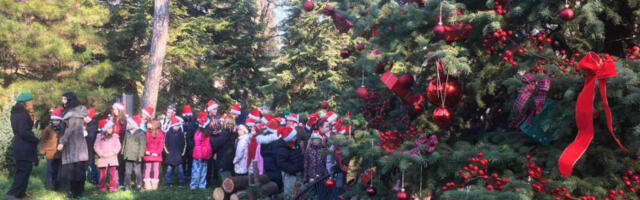 Ста­бло за­јед­ни­штва у „Је­вре­мов­цу”