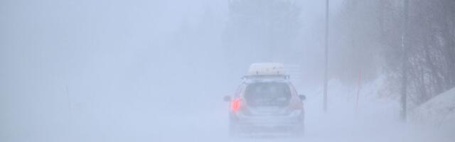 Snežna oluja pogodila Švedsku, više od 40.000 domaćinstava bez struje