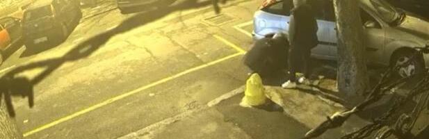 ZAPANJUJUĆI SNIMAK U GLUVO DOBA NOĆI KOD BOTANIČKE BAŠTE: Pogledajte šta rade ova dva "gospodina", ljudi pobesneli u komentarima (VIDEO)