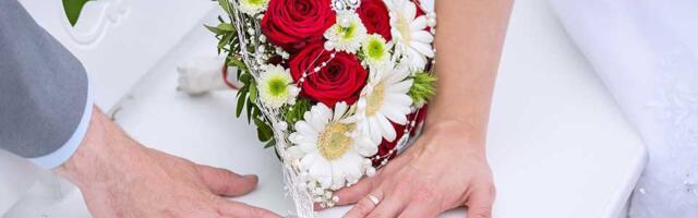 Venčani u Zrenjaninu: Oni su prošle nedelje izgovorili sudbonosno DA