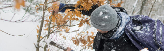 ŠTA ZNAČI PREPORUKA DA JE BADNJI DAN NERADAN? Evo da li ćete raditi i šta je sa duplom dnevnicom