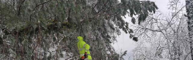 Stiže novi snežni talas, problemi sa strujom