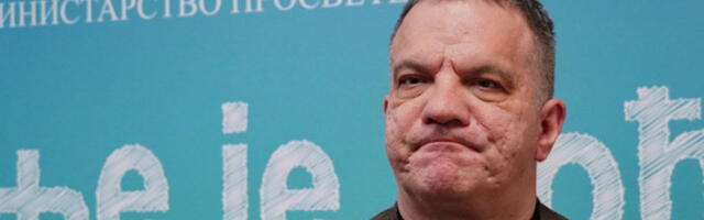 Сарадња Србије и Ирске: Министар Станковић о инклузивном и високом школству