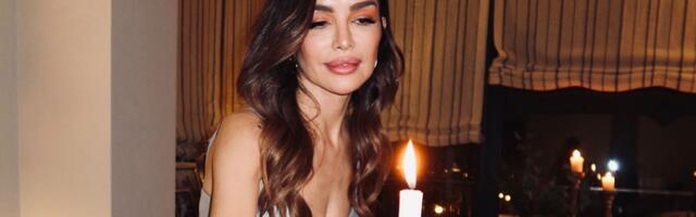 Koliko košta da postanete Severinin komšija? Prodaje se vila preko puta sa teretanom i muzičkim studiom