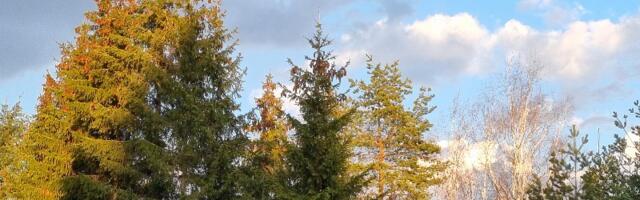 Prolećni rolerkoster – sunce, kiša i oblaci